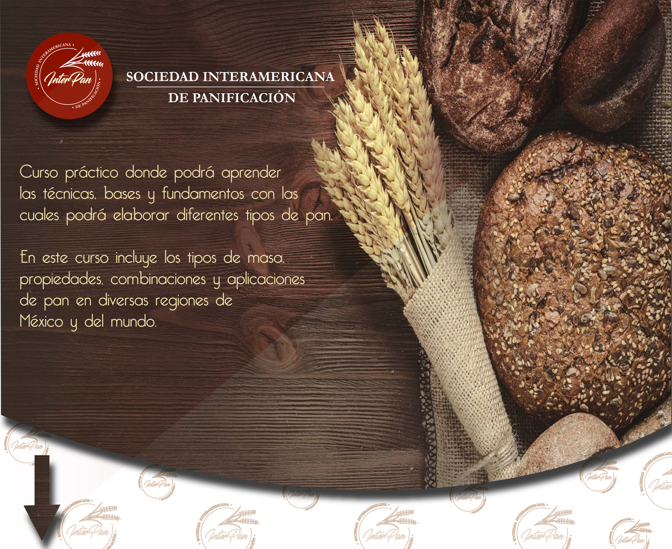 Curso de Panadería en la ciudad de México