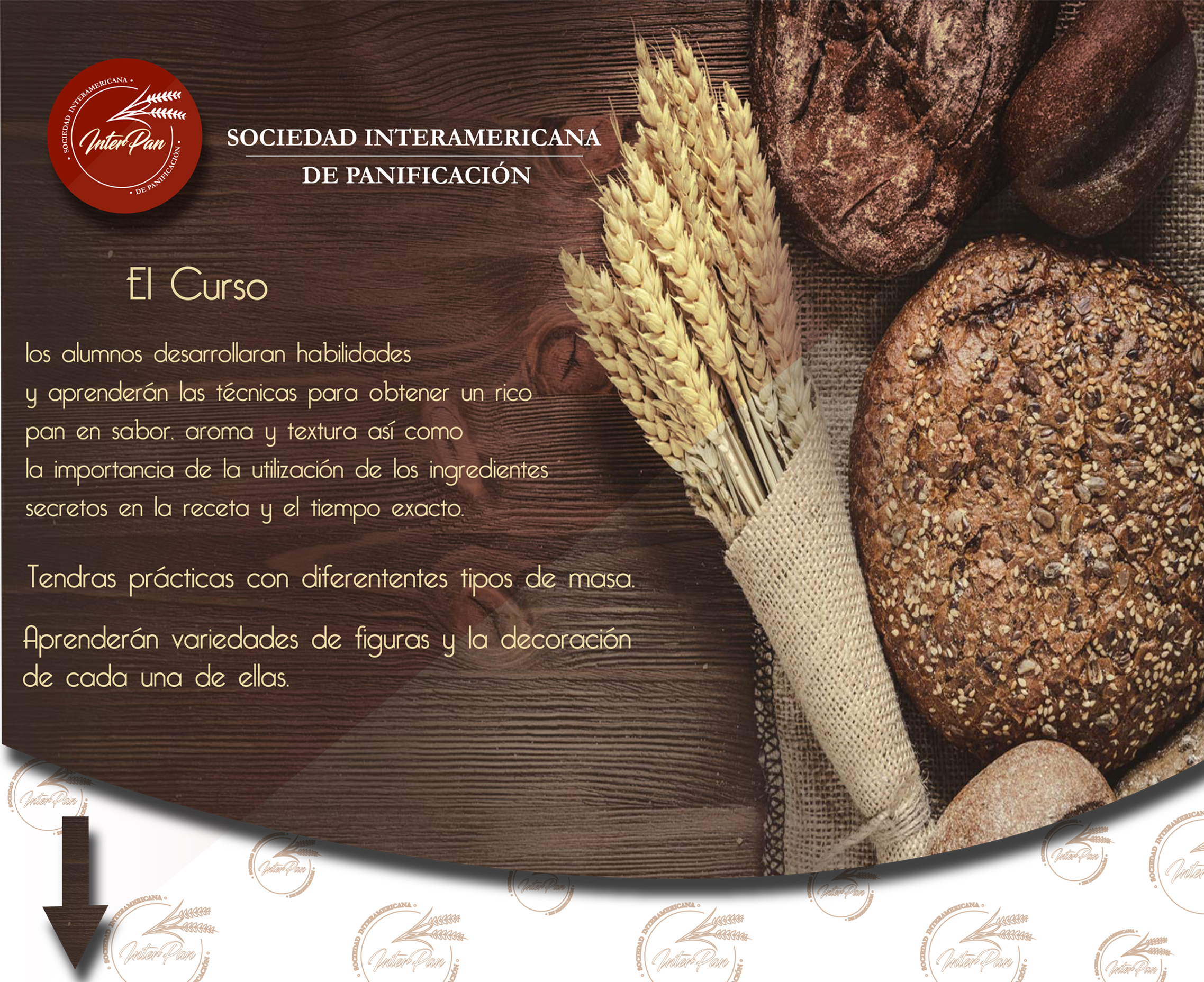 Curso de Panadería en la ciudad de México2